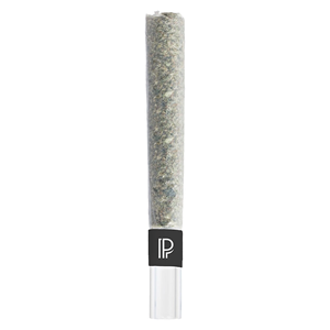Pistol and Paris - Pink Goo Bubble Hash Infused Pre-Roll - Indica - 1x1g