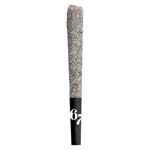 Sixty Seven Sins - 67 Sindicate Infused Pre-Roll - Hybrid - 1x1g