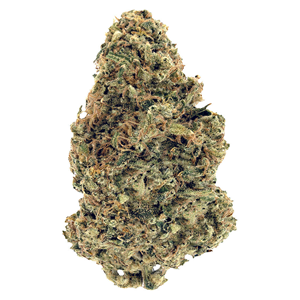 Woody Nelson - Warehouse Premium Smalls - Hybrid - 3.5g